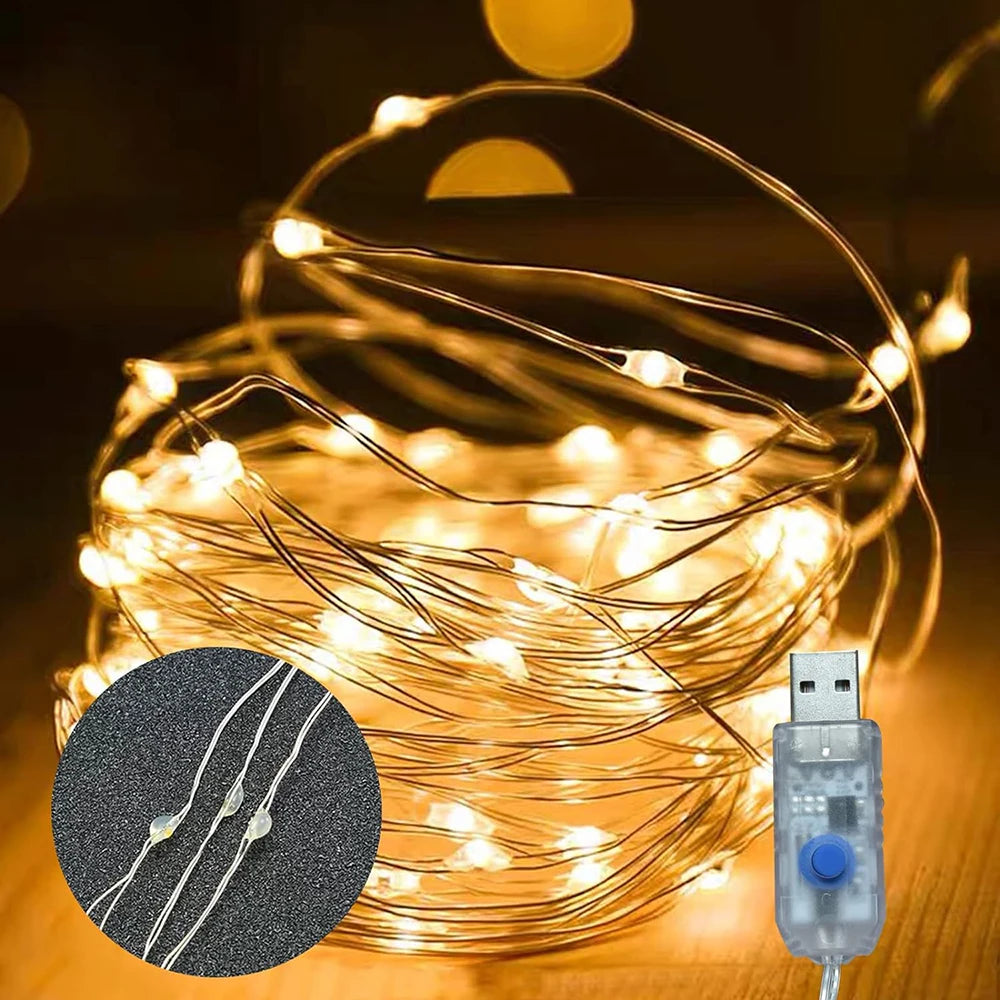 Waterproof USB LED Copper Wire Fairy Lights with Remote