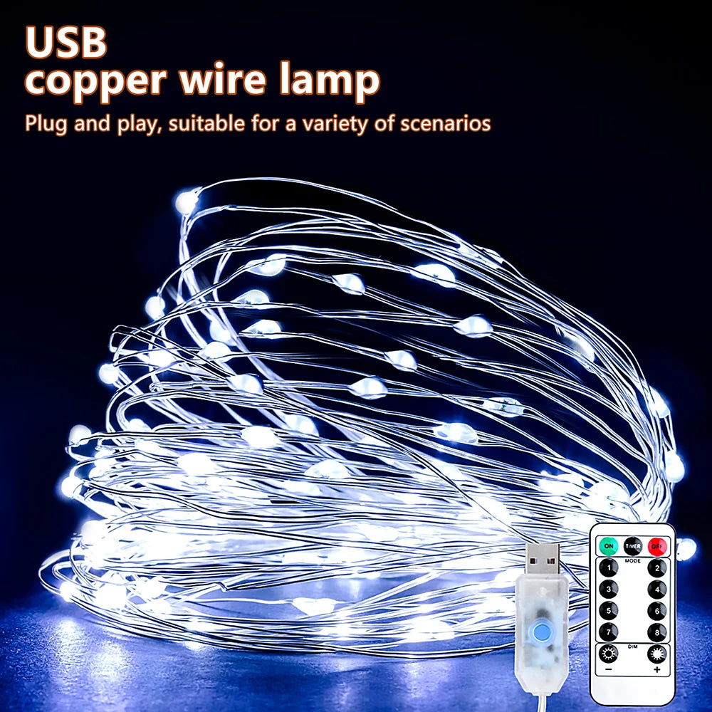 Waterproof USB LED Copper Wire Fairy Lights with Remote