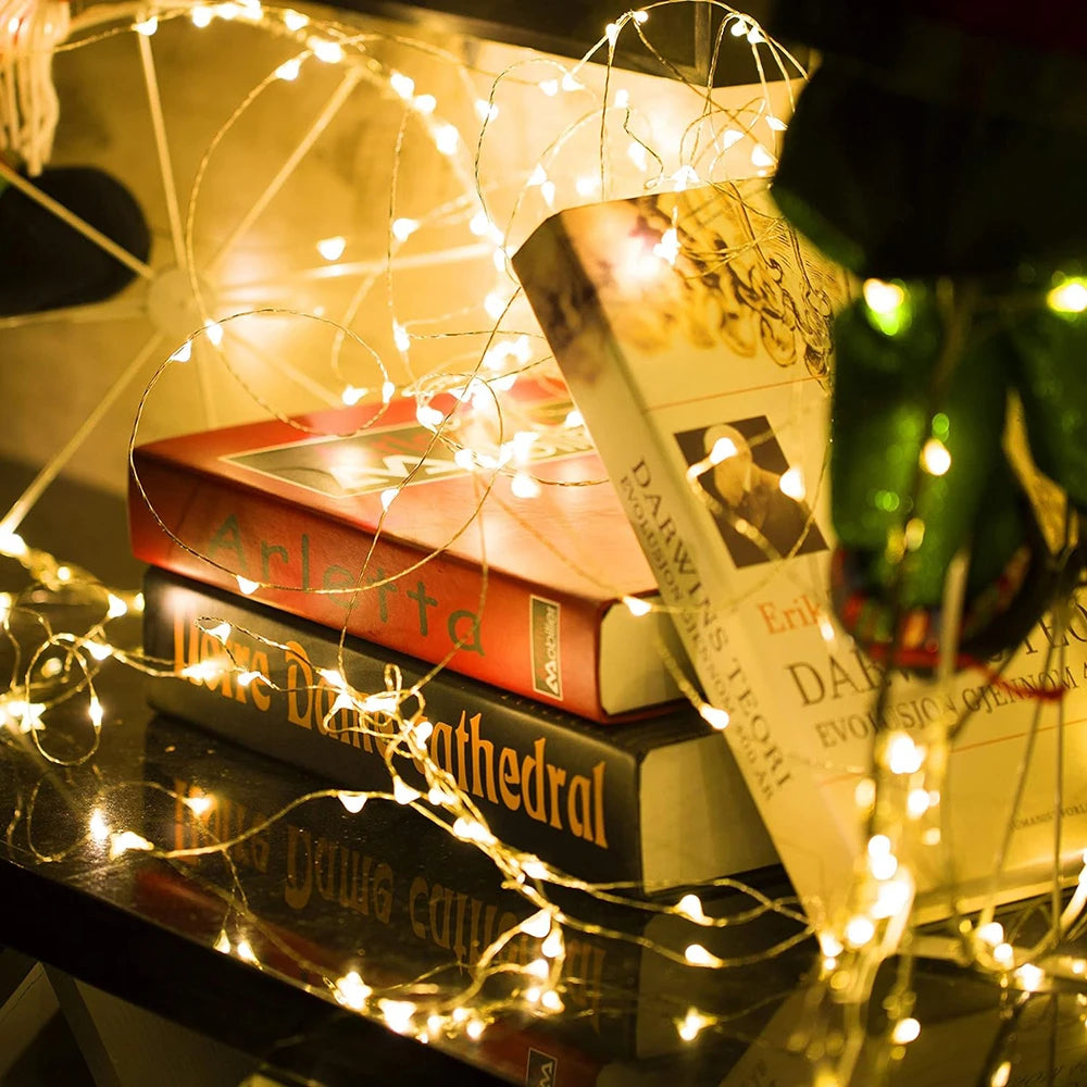 Waterproof USB LED Copper Wire Fairy Lights with Remote